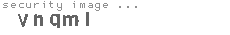 security image