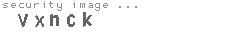 security image