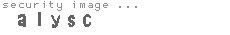 security image