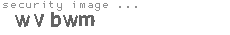security image