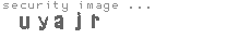 security image