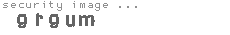 security image