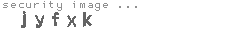 security image