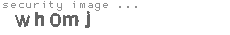 security image