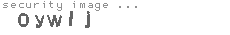 security image