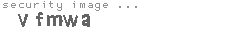 security image