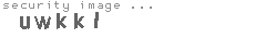 security image