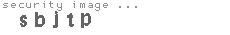 security image