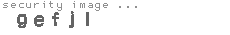 security image