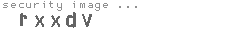 security image