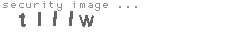 security image