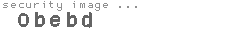 security image