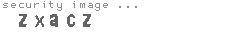 security image