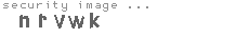 security image