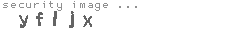 security image