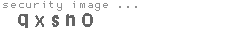 security image
